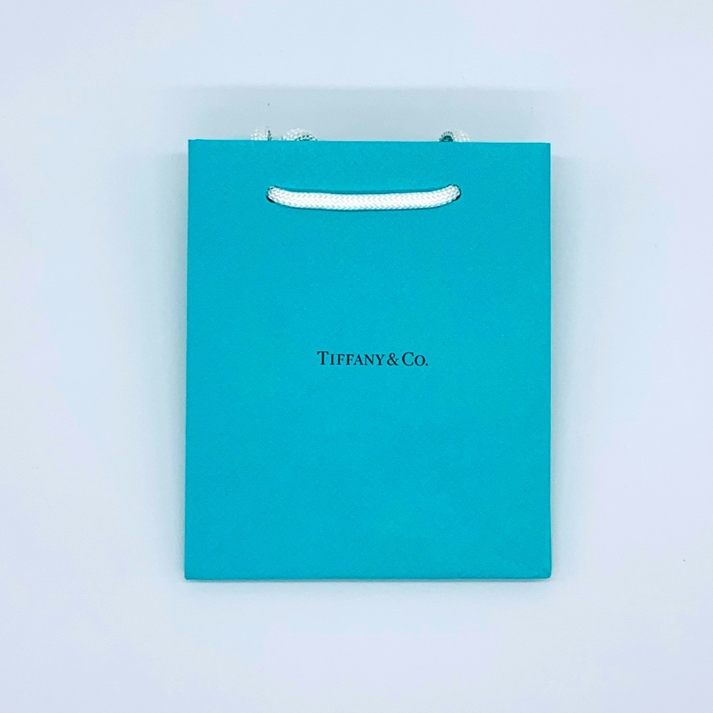 Tiffany & Co. Small Shopping Paper Bag